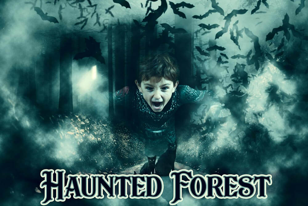 Haunted Forest