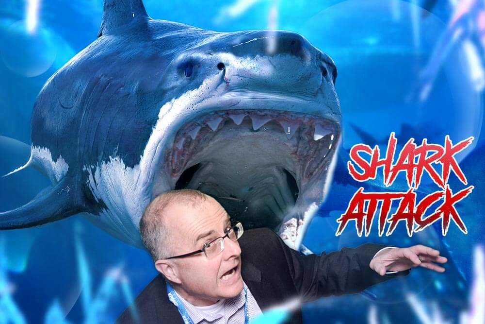 Shark Attack
